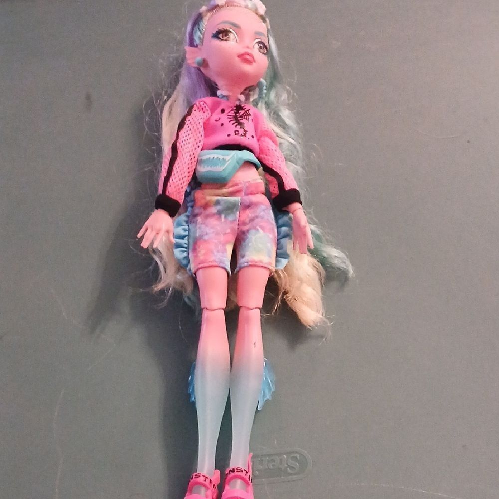 Monster High Doll with Pink and Blue Outfit